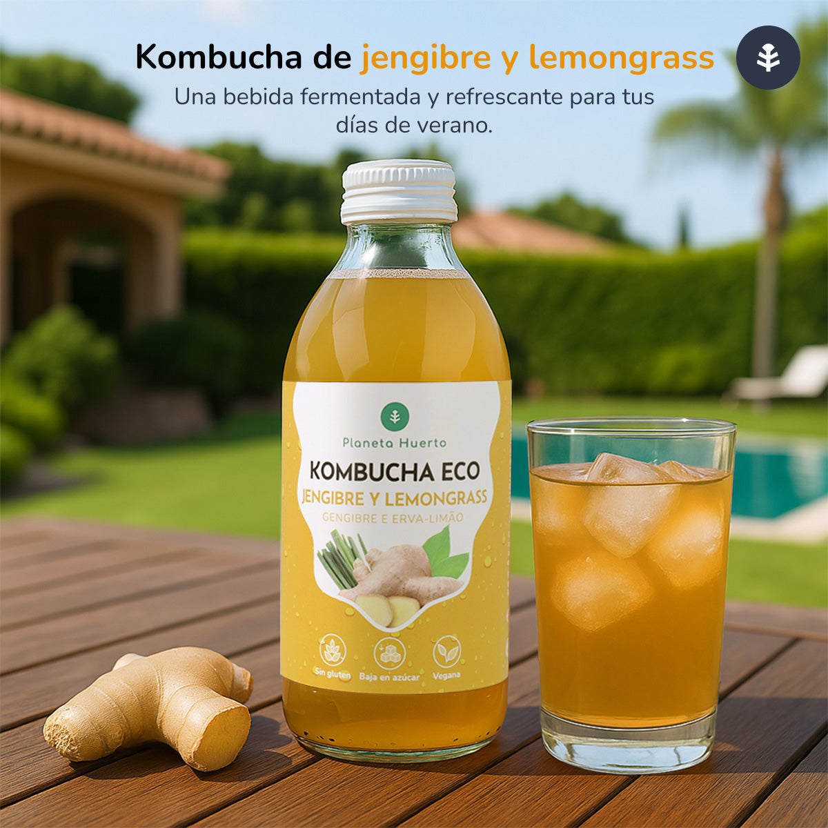 Kombucha ECO Gember en citroengras Planeta Huerto 330 ml