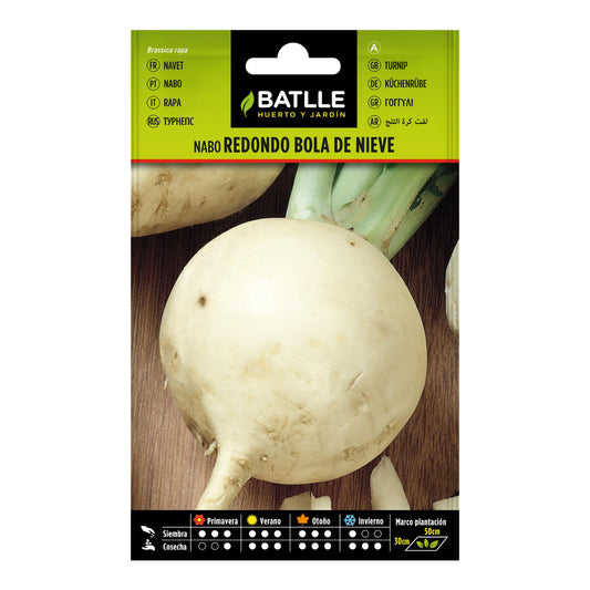 Runda rovorfrön Bola de nieve Batlle