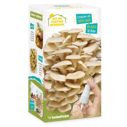 Kit voor het kweken van paddenstoelen Pocket Gourmet thuis, ideaal cadeau Garden Pocket