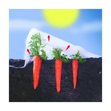 Voile de croissance Climatex Nortene 2 x 5 m