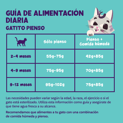 Karma dla kotów Kitten Świeża kaczka i kurczak Edgard & Cooper 2 kg