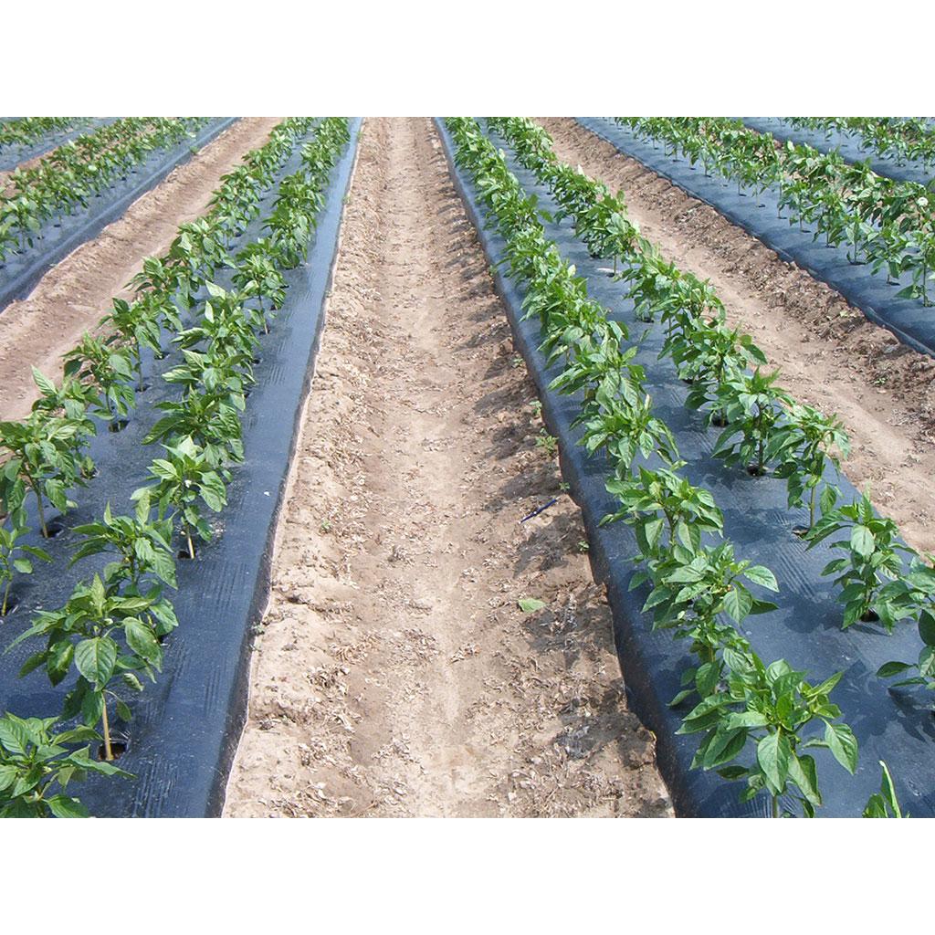 Film microperforé 1,4 x 10 m Faura