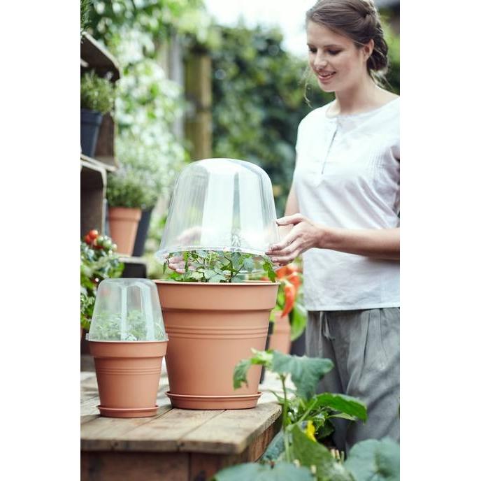 Green Basics Elho 17 cm greenhouse cover for pots