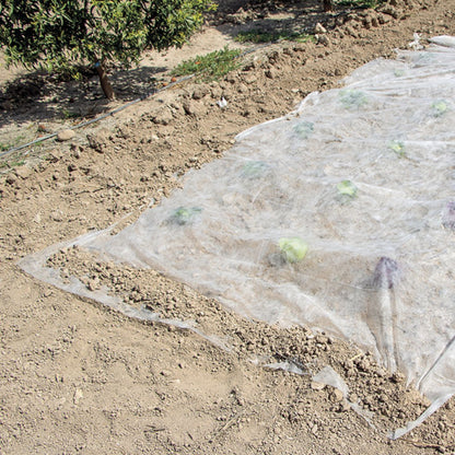 Voile de croissance Climatex Nortene 2 x 5 m