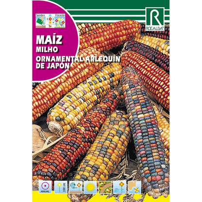 Nasiona kukurydzy ozdobnej Harlequin z Japonii