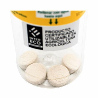 Zestaw oszczędnościowy Ceratinex przyciągający muchy owocówki i oliwkowe