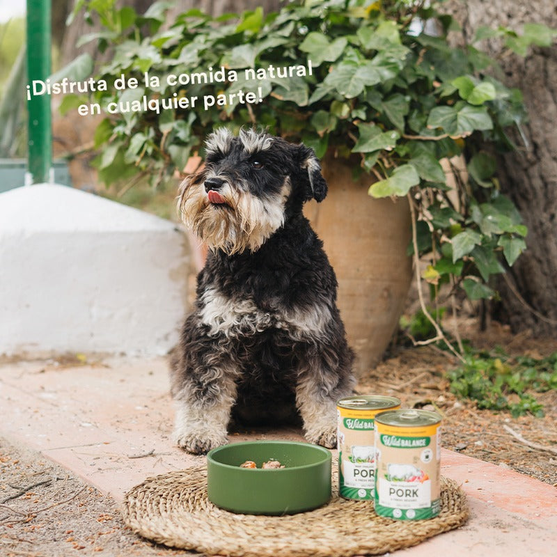 Boîte de porc et légumes BARF pour chiens Wild Balance 400 g