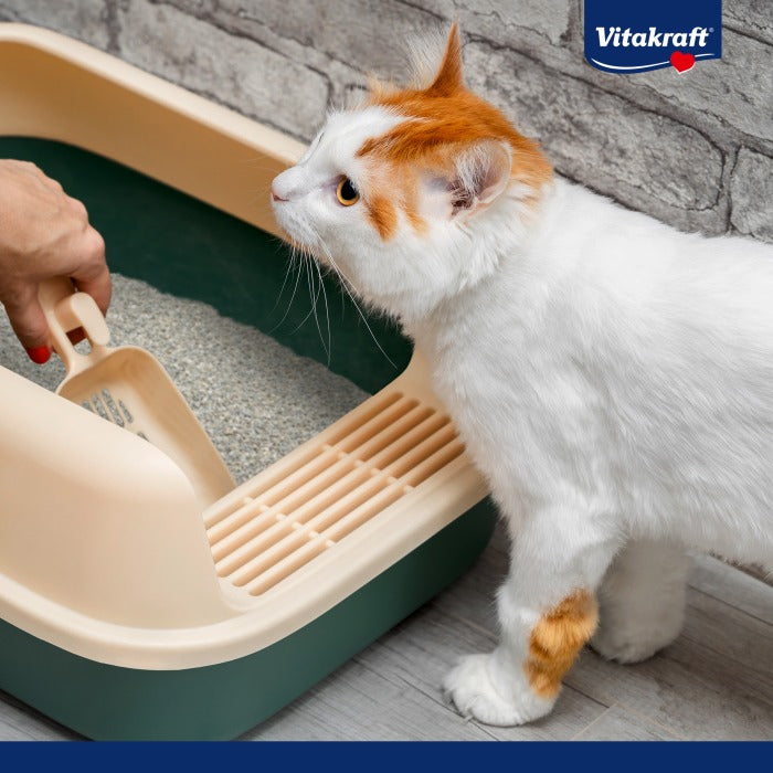 Vitakraft Compact Ultra Żwirek zbrylający 4 L