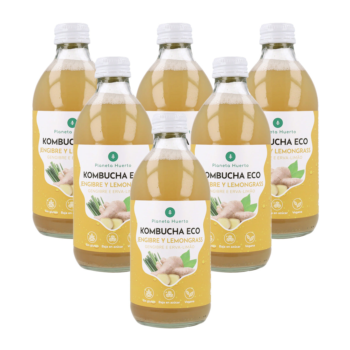 Pack 6x Kombucha ECO Ingwer und Zitronengras Planeta Huerto 330 ml