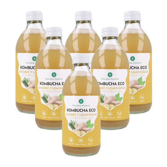 Pack 6x Kombucha ECO Gingembre et citronnelle Planeta Huerto 330 ml