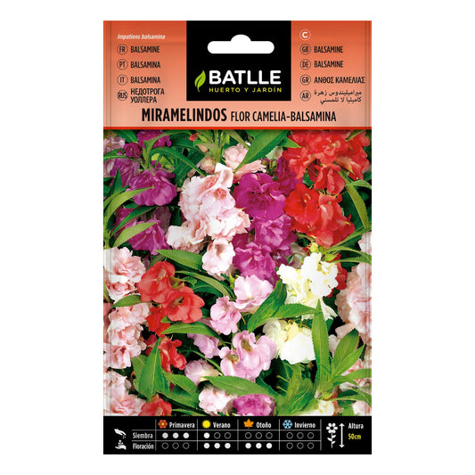 Zaden van Miramelindos bloem Camelia Balsamia Batlle