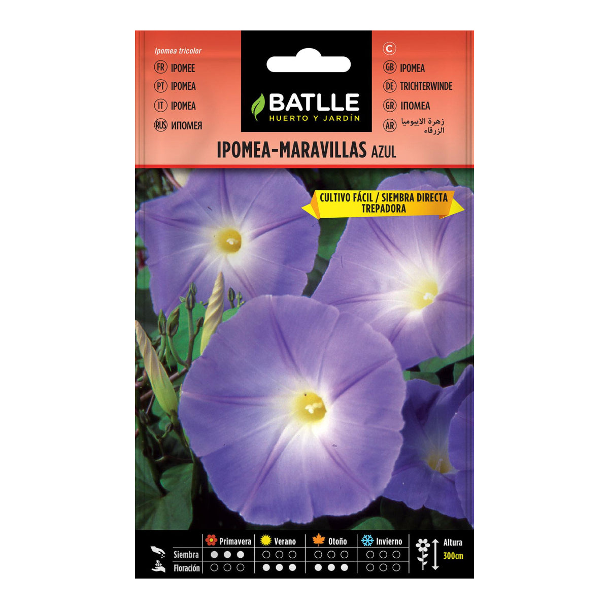 Zaden van blauwe Ipomea Batlle