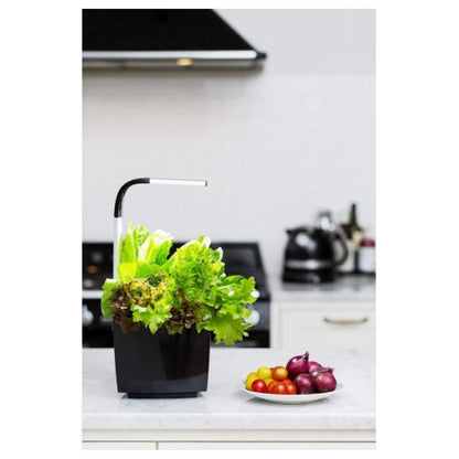 T3 Kitchen Garden Self-Cultivation Pot 20 x 17.5 cm Black