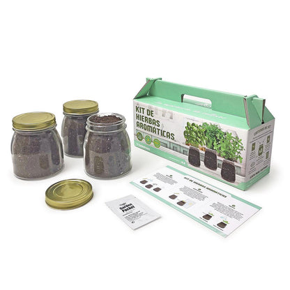 Indoor Herb Growing Kit: Oregano, Coriander and Mint