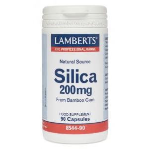 Silicon 90 capsules Lamberts 200 mg