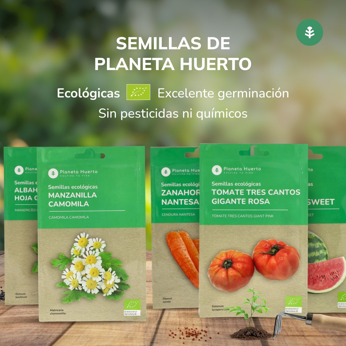 Ekologiska frön av sommarunder sallad Planeta Huerto