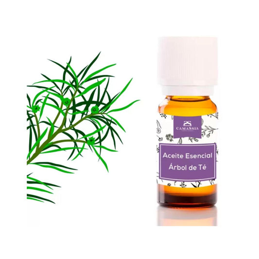 Tea tree etherische olie (Melaleuca Alternifoli). Camassia 30 ml