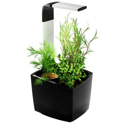 T3 Kitchen Garden Self-Cultivation Pot 20 x 17.5 cm Black