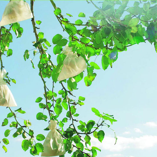 Osłonki ochronne na owoce Fruitsac Nortene 50 szt. 17 x 22 cm.