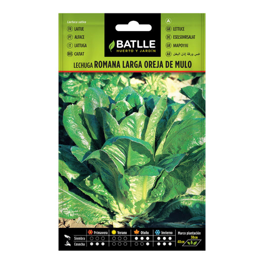 Semi di lattuga a foglia lunga Oreja de Mulo