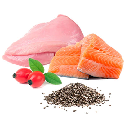 Barf-Nassfutter für Katzen Michi Mimos BIO (Truthahn und Lachs) Puromenu 100 g