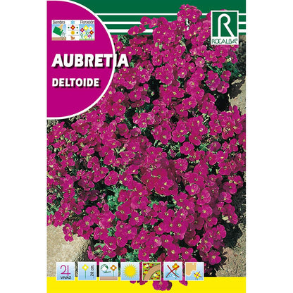 Aubretia deltoide-zaden, paarsviolet