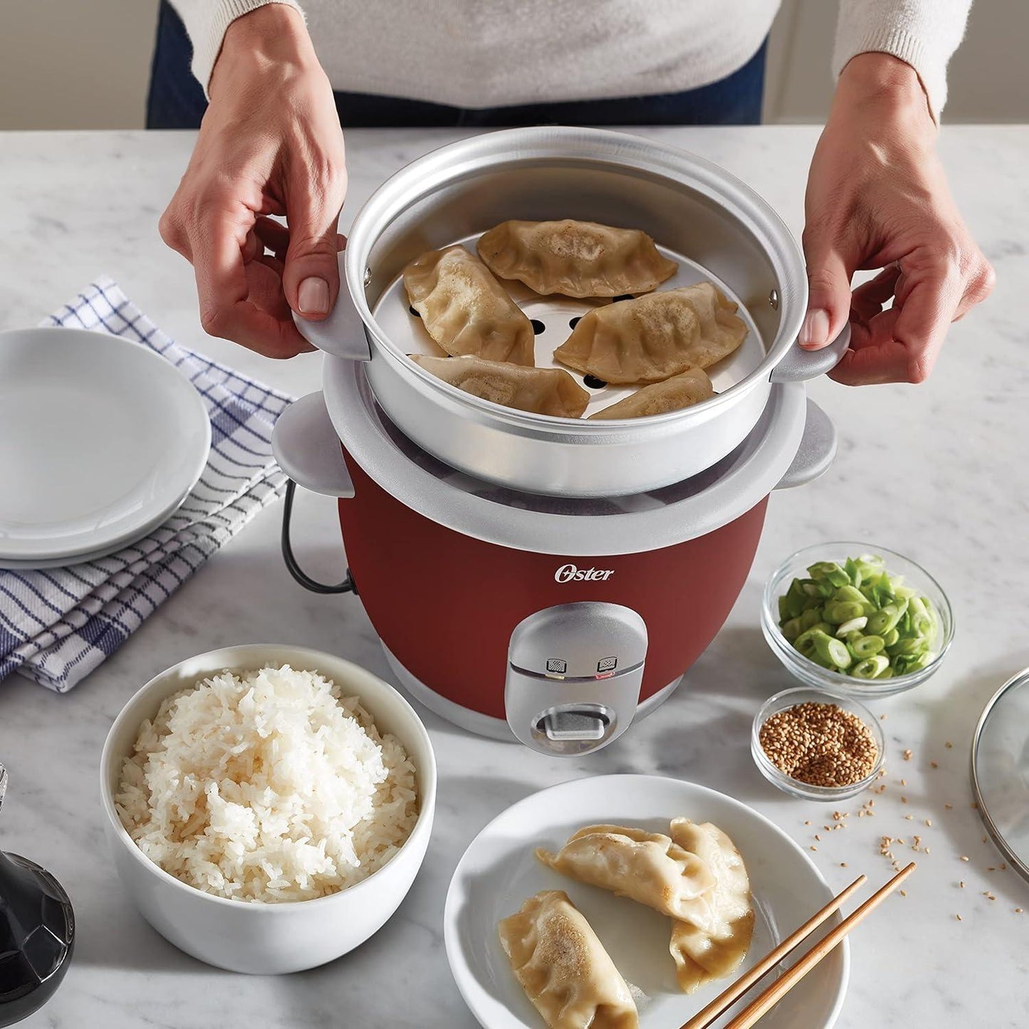 Ris- och ångkokare CKSTRC4723 0,6 L Oster