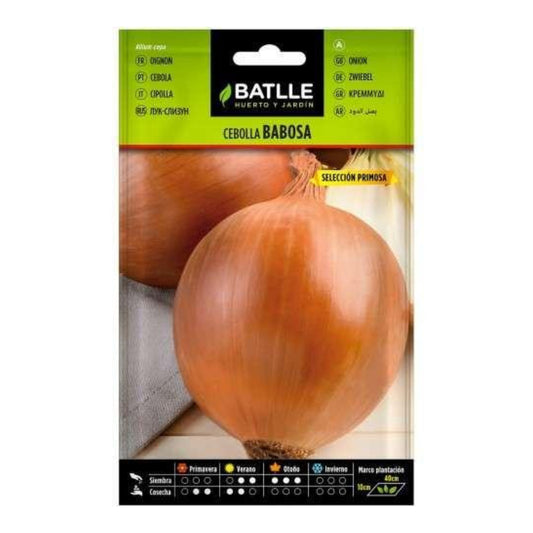 Graines d'oignon Babosa sel. Primosa Batlle