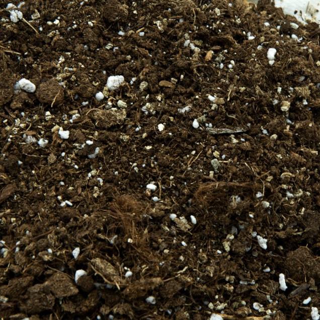 Universele substraat voor carnivoren 1 L