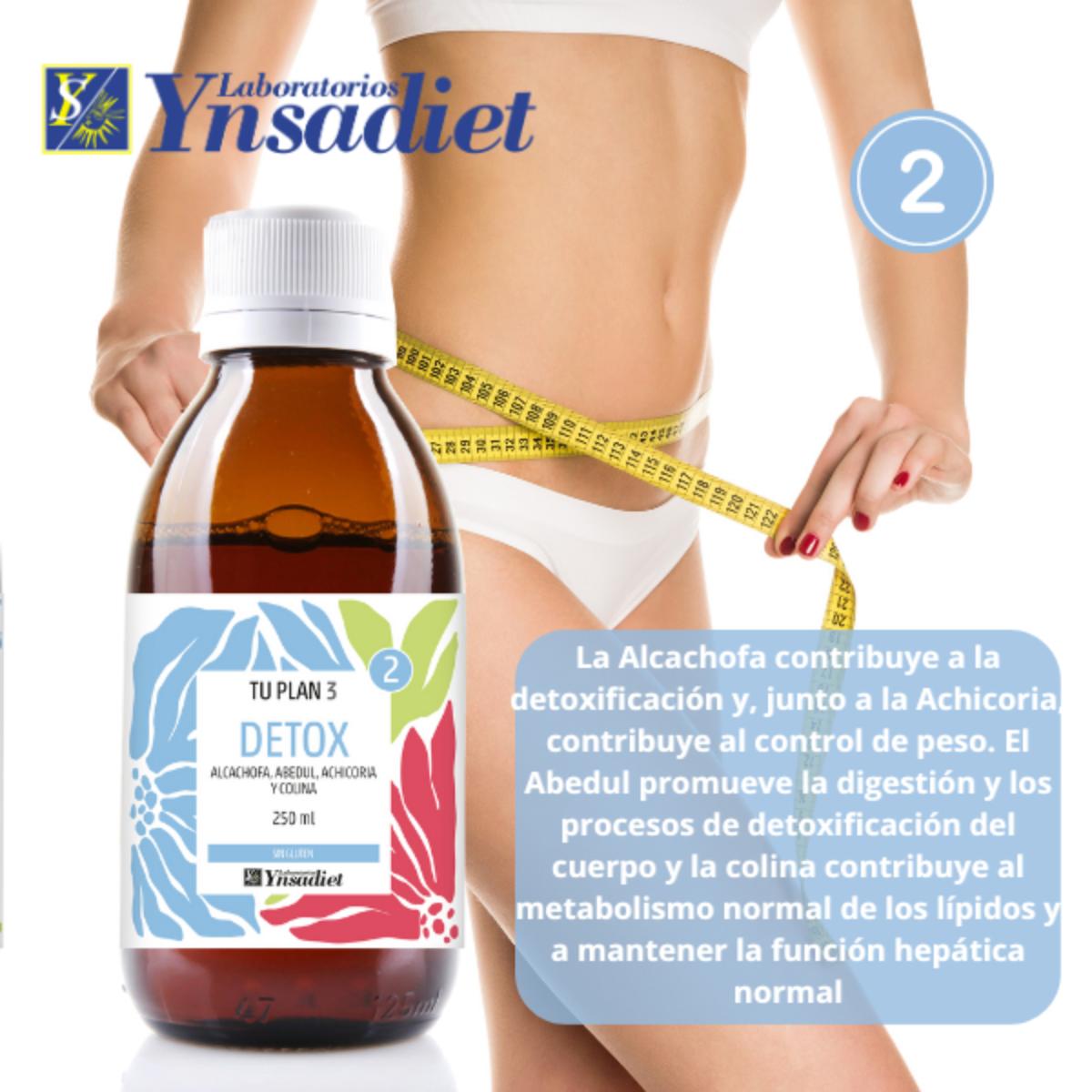 Ihr 20-Tage-Komplettplan zur Wiedererlangung Ihrer Idealform Ynsadiet