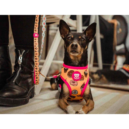 Vändbar hundsele CUPCAKES Dukier XL