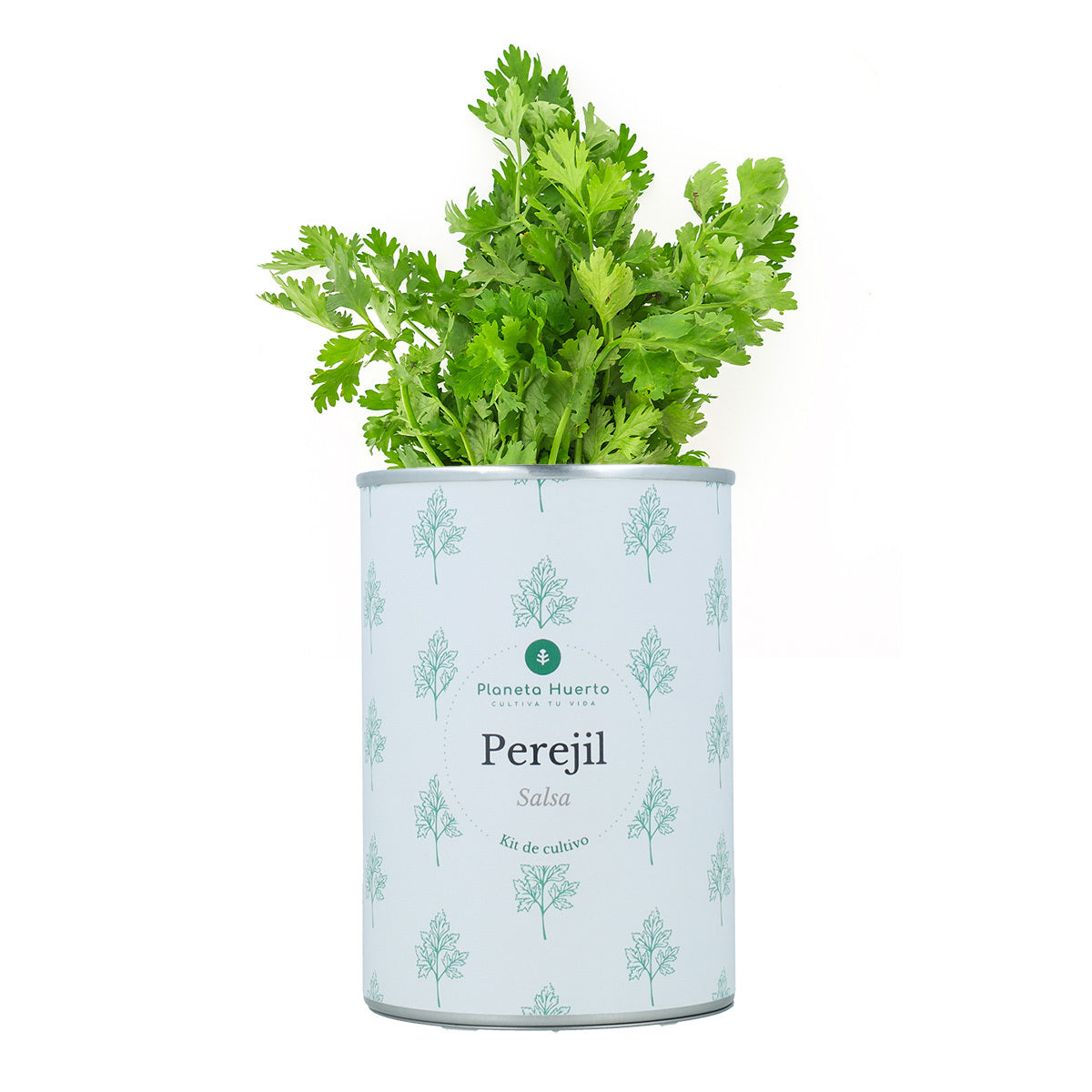 Aromatyczne zestawy do uprawy Chest Pack Planeta Huerto