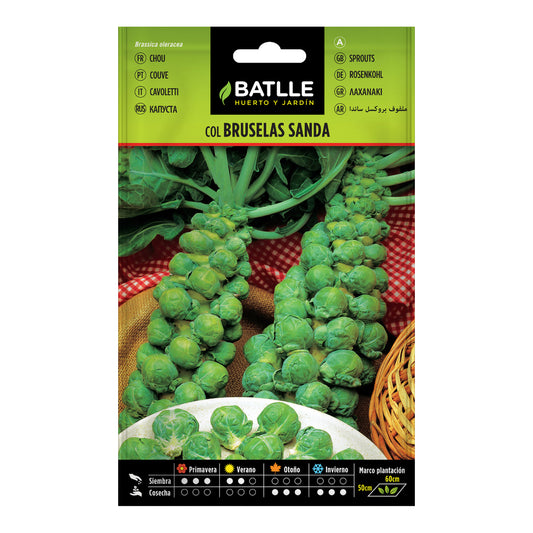 Semi di cavolo di Bruxelles Sanda Batlle