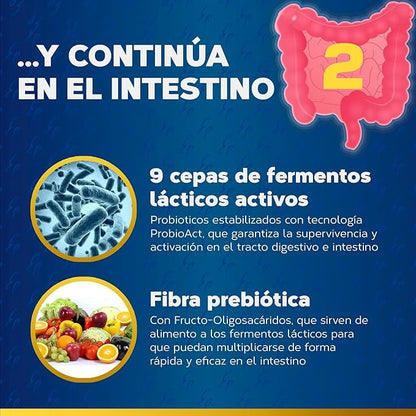 Maxi Enzimi con Probiotici, Tongil, 80 capsule vegetali