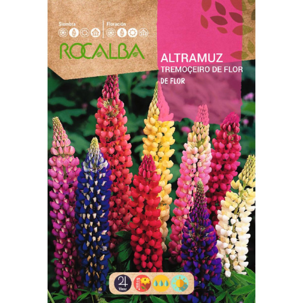 Lupin flower seeds, assorted