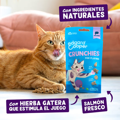 Galletitas de Salmón Premios naturales para gatos Edgard Cooper 50 g