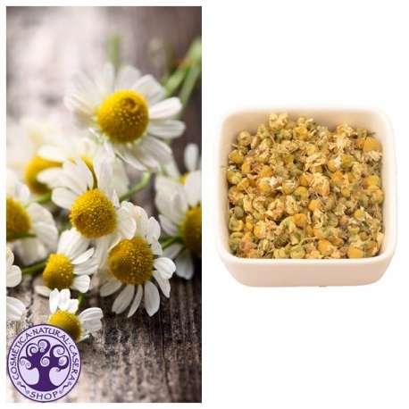 Camassia organic chamomile flowers, 50 g