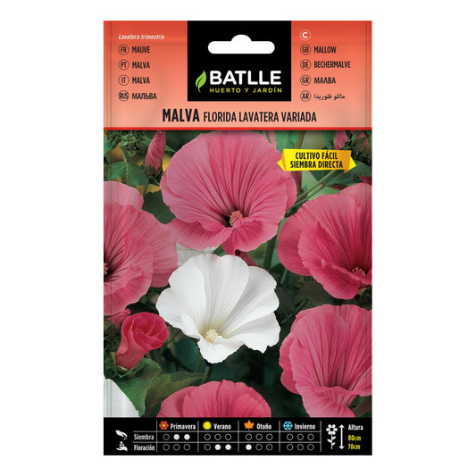 Graines de centaurée double variée Batlle