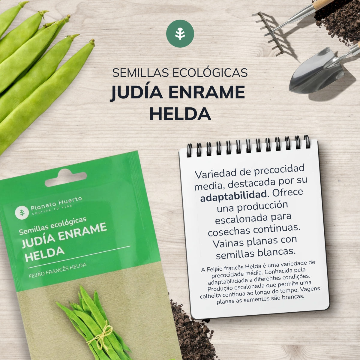 Organic French Bean seeds Planeta Huerto