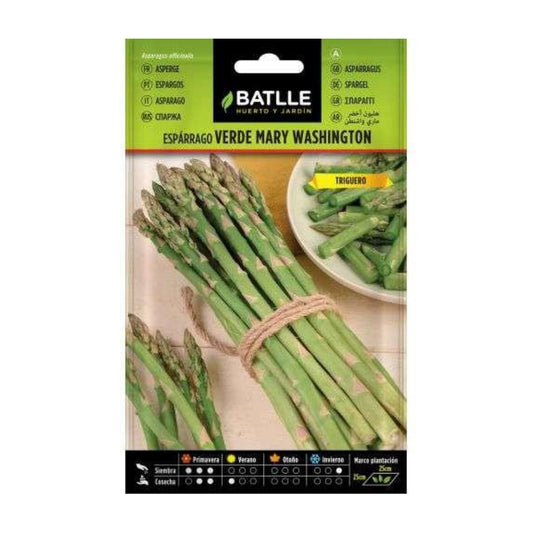Graines d'asperges vertes Mary Washington Batlle