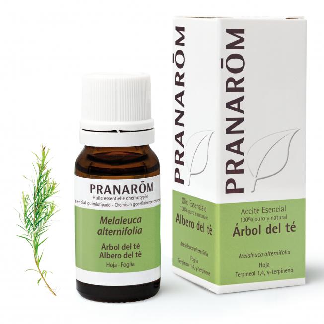 Ätherisches Teebaumöl Pranarôm 10 ml