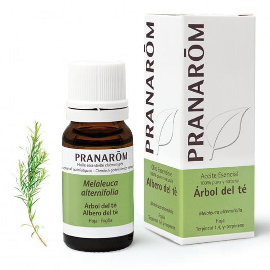 Olio essenziale di melaleuca Pranarôm 10 ml
