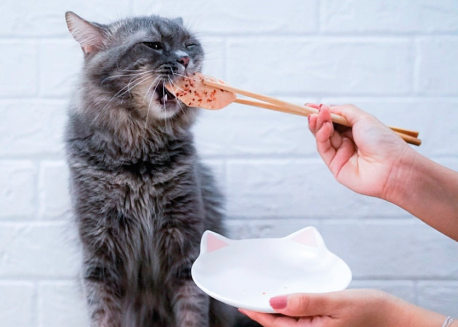 Cat FilletFresh Kit - Tuna and Smoked Fish 30 g Natural snack for cats