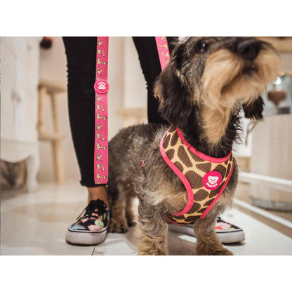 Vändbar hundsele SAVANA Dukier XL