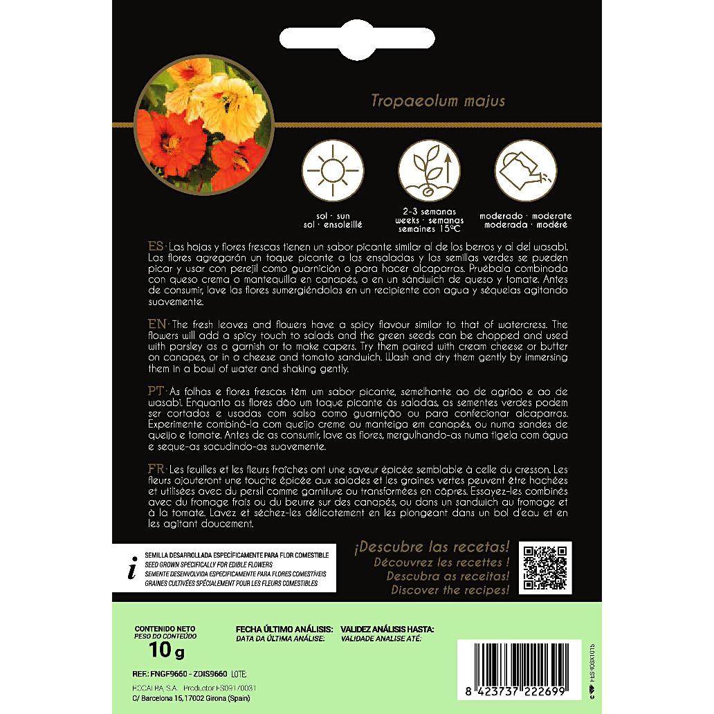 Edible nasturtium seeds