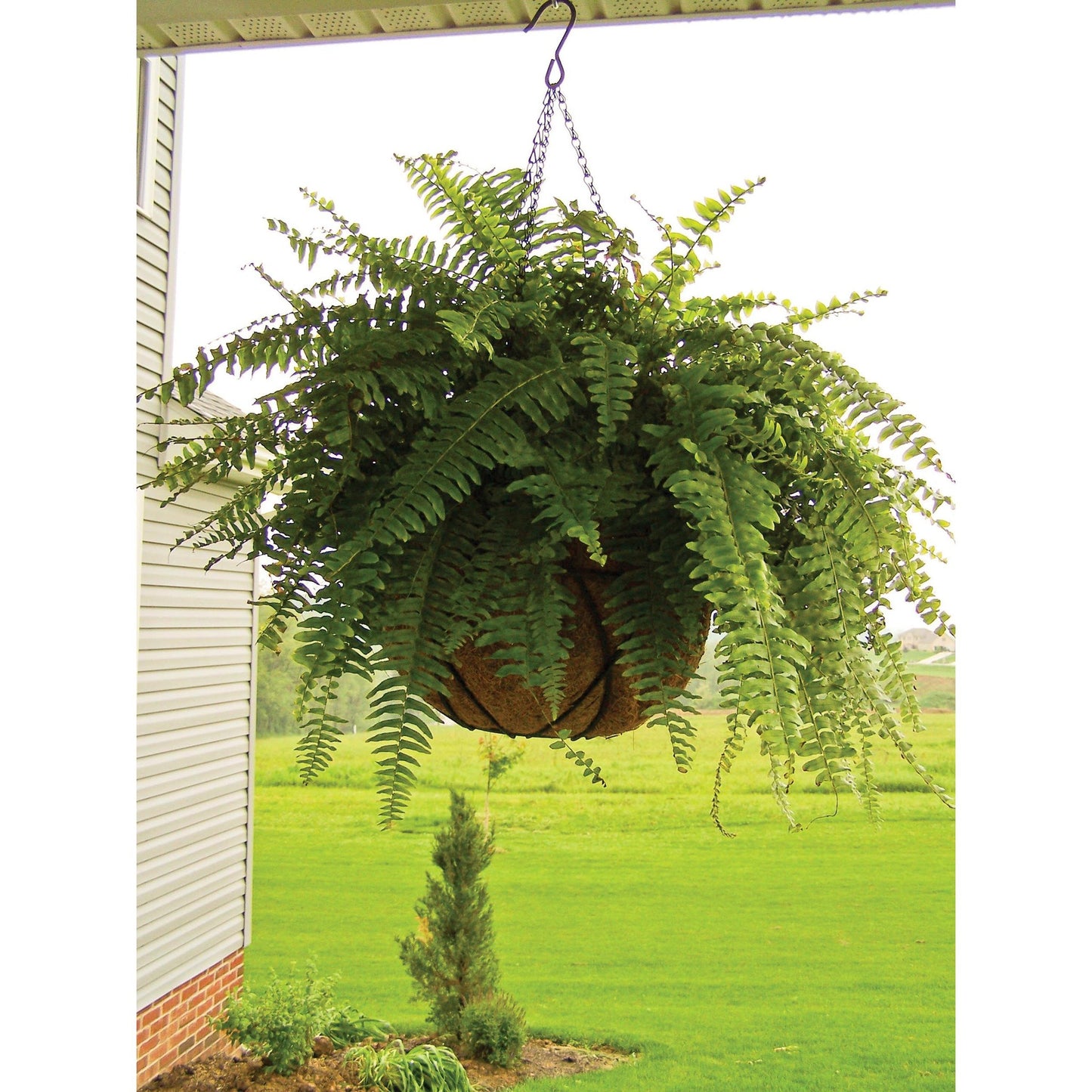 Halbrunder Hängekorb