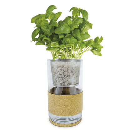 Hydroponische kweek van koriander en oregano, ideaal cadeau Garden Pocket