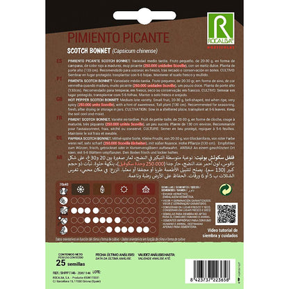 Samen Scotch Bonnet Rocalba Chili