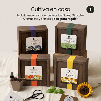 Kit de Cultivo de Bonsáis en Caja de Madera – Regalo Original Planeta Huerto