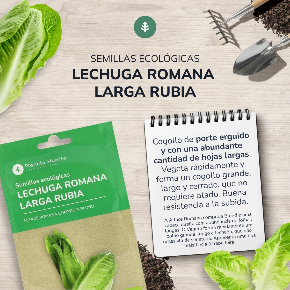 Biologische Romeinse sla zaden Planeta Huerto